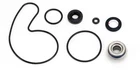 Arctic Cat 800, 1995-2001, Water Pump Rebuild/seal Kit New. Price: $35.98.