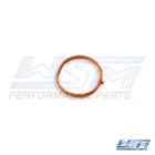 Wsm Plenum O-ring Yamaha 1050 '16-'26 008-683-21, 6EY-14126-00-00 New. Price: $12.97.