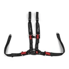 Can-am Oem 4-POINT Harness Passenger, 715008036 New. Price: $256.99.