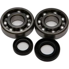 Balls Crankshaft Bearing/seal Kit 24-1002 New. Price: $77.85.