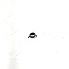 06 Honda Rancher TRX3504X4 Oem Shift Drum Stopper Spring 24435-HN5-670 Q6819 Used. Price: $11.99.