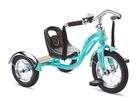 Kids Tricycle Schwinn Roadster Classic Steel Frame Teal Ages 2-4 Bike Toddler New. Price: $179.99.