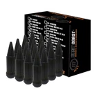 Wca Spike Lug Nut Kit (16) 217833 New. Price: $80.09.