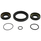 New Balls Differential Seal Kit 25-2110-5 For Honda TRX500FA 18 TRX500FE. Price: $26.63.
