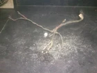 07-09 Arctic Cat Console Wiring Harness Assembly # 0486-224 Prowler 650 Used. Price: $49.95.