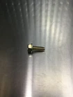 Polaris Screw 3233826 T374 New. Price: $11.99.