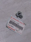 Kawasaki KX500/KX250/KX125 Crankcase Drain Plug Nos! New. Price: $15.00.