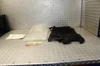17 / 23 Can-am Maverick X3 Max Rear Window Nets New Oem 715004926. Price: $89.95.