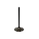 Psychic Intake Enigne Valve XU-09532I New. Price: $23.88.