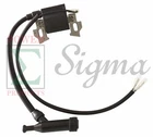 Ignition Coil For Ust 4200 Watts Mpn QJ168QDJ.11.03 Gas Generator New. Price: $19.99.