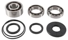 Balls 25-2108 Differential Bearing And Seal Kit Front New. Price: $155.01.