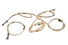 07 Arctic Cat 400 4X4 Fis Front & Rear Brake Lines Used. Price: $249.90.
