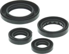 Quadboss Oil Seal Set New. Price: $26.29.