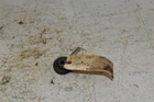 2006 Honda Rancher 400 Fa Starter Gears 28131-HN7-000 Used. Price: $12.99.