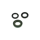 Balls Rear Differential Seal Kit 25-2008-5CL77 New. Price: $13.22.