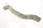 Polaris Ranger Xp 1000 Northstar Air Hose 5416208 52065 Used. Price: $14.98.