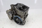 2002 Polaris Sportsman 700 Engine Motor Cases Block 2202364 180P Used. Price: $79.00.