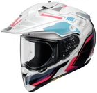Shoei Hornet X2 Invigorate Motorcycle Helmet TC-7 Xlarge New. Price: $819.99.