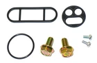Yamaha YFU1W YFU1TW (230CC) Pro-hauler 89 Fuel Petcock Repair Kit Shutoff Valve New. Price: $14.97.