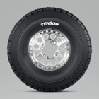 Tensor Tire Desert Series (dsr) 33X10-15 New. Price: $490.00.