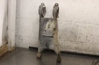 1996 Polaris Sportsman 400 4X4 Rear Back Suspension E108 Used. Price: $177.46.