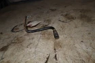 00-03 Honda Trx 350 4X4 Rancher Right Rear Fender Stay 80217-HN5-A10 Used. Price: $16.61.
