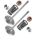 Caltric 420254358 420239292 420430420 420254600 Intake Valve Kit For Can-am New. Price: $30.98.
