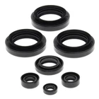 Vertex Oil Seal Kit For 1999-2005 Arctic Cat 250 2X4 Atv New. Price: $32.16.