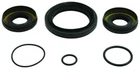 Balls 25-2110-5 Differential Seal Only Kit New. Price: $25.10.
