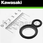 New 2008 - 2023 Genuine Kawasaki Ninja 250R 300 Versys X Plug Gasket. Price: $13.95.