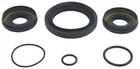 Balls 25-2110-5 Differential Seal Kit Front New. Price: $30.86.