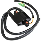 Ignition Coil For Arctic Cat Oem 3005-381 3005-170 Snowmobiles New. Price: $25.00.