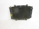 01 Yamaha Kodiak 400 Radiator 5GH-12461-10-00 2000-2002 Used. Price: $60.00.