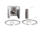 Piston Kit 09-650 3006-921 Std +ring For Arctic Cat Snowmobile Panther 570/F570 Brand. Price: $94.44.