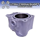 Re-plated Oem Suzuki Cylinder 1998-2002 LTF500F Quad Runner New. Price: $799.99.