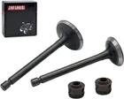 Cylinder Head Intake Exhaust Valves For Yamaha TTR125E TTR125LE New. Price: $11.49.
