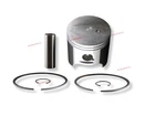 Piston Kit 09-650 3006-921 Std For Snowmobile Arctic Bearcat Panther Z 570 New. Price: $85.18.