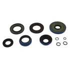 Balls Differential Seal Only Kit For 2015-2021 Polaris Sportsman 570 Atv New. Price: $72.53.