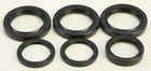 Balls 25-2065-5 Differential Seal Kit New. Price: $28.91.