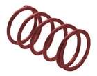 Epi Performance DRS22 Erlandson Clutch Spring ,maroon New. Price: $36.35.
