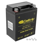 Agm Battery For Kawasaki Lakota KEF300A 1995 1996 1997 1998 1999 2000 New. Price: $54.00.