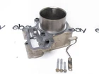 Oem Kawasaki 11005-1920 Rear Cylinder Jug 05-13 Brute Force 650 02-03 Prairie Used. Price: $225.75.