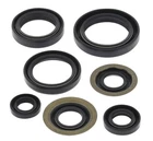 Quadboss Oil Seal Set - 822260QB New. Price: $50.13.